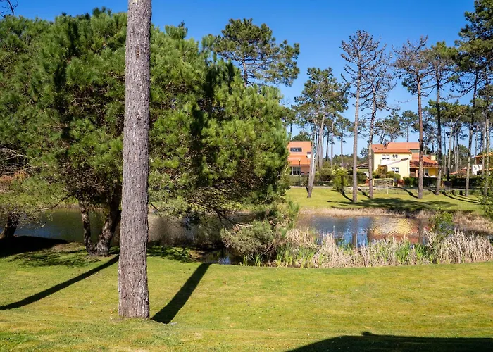 R3 - Miravillas - Rosas 33 Мира