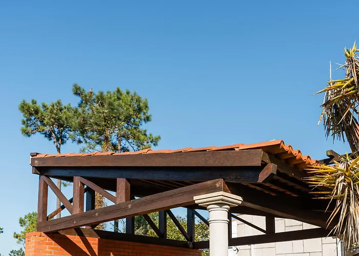 R3 - Miravillas - Rosas 33 Мира